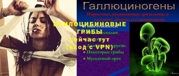 apvp Абаза