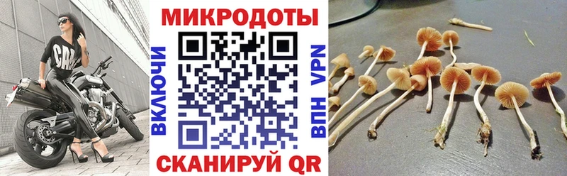 как найти закладки  Саранск  Галлюциногенные грибы Magic Shrooms 