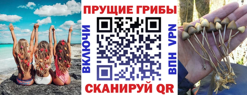 Галлюциногенные грибы ЛСД Саранск