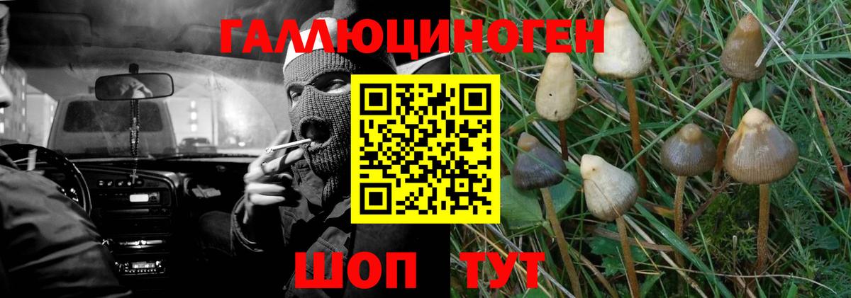 Галлюциногенные грибы мицелий Саранск