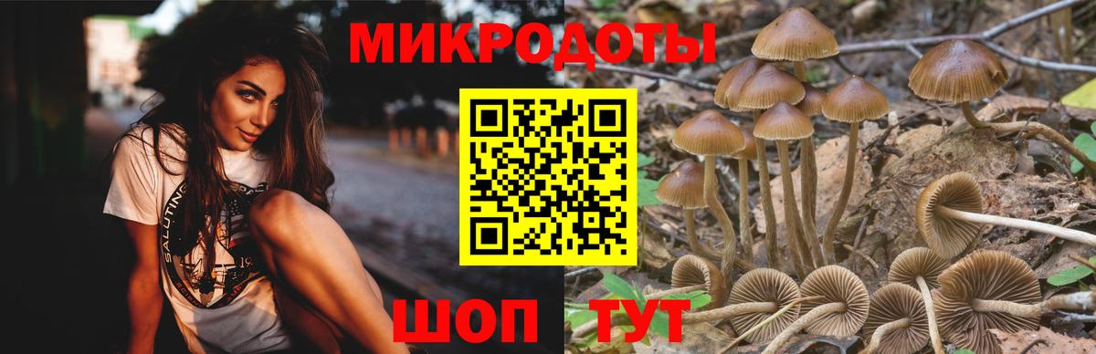 Псилоцибиновые грибы Cubensis  Галлюциногенные грибы мицелий  Вход с VPN  Саранск 